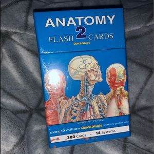 Anatomy 2 Quick Study Flashcards
